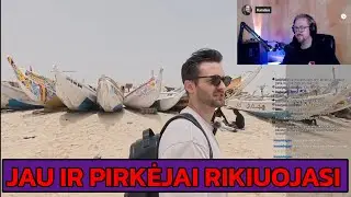 WhyDotas Senegale artėja prie merso pardavimo 😳 - 7 dalis | Karalius Reaguoja