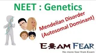 NEET Biology Genetics :  Mendelian disorders