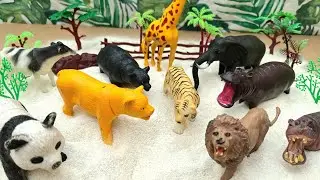 Zoo Animals for Kindergarten|Learn animal names and sounds| Wild Animal toys for kids| Pop n play