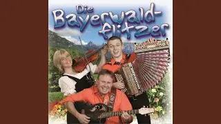 He Geig&rsquo;n Dirndl, he Waidler Bua