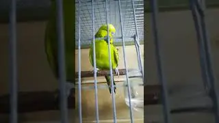 VID 20190813 231407