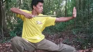 BEST OF DEXTER KUNG PRACTICE FU BUTTERFLY KICK WITH SWORDS PERFORMANCE