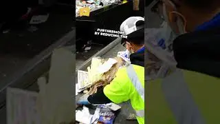 ♻️  Recycling is everyone's responsibility!