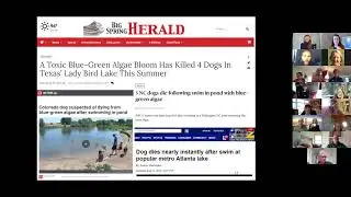 How do cyanobacteria effect pets?