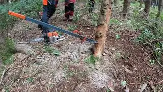 Vorsicht bei d&uuml;rren Stangen!