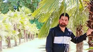 🔥 ELECTRICAL SOLAR WATER PUMP 👍|SOLAR WATER PUMP FOR YOUR DOMESTIC PURPOSE | AWT CHANNEL