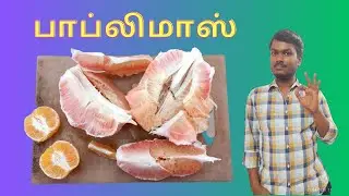 Bablimas  vs Orange #ifactstamil
