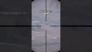 Использую НОВЫЙ прицел Marksman для своего ПЕРВОГО выстрела на 500 метров &mdash; DayZ Comp Moments #da...