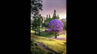 LA VIDA ES BELLA (Autora:  Alexia Landeau / Argentina)