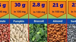 High Protein Vegan Foods Comparison | Best Plant-Based Protein Sources
