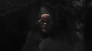 Boxer Rottweiler Sisters Horror Story 3/ The Monster Inside