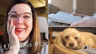 Going to the dentist for the first time in 10+ years! | November Vlog #5 | 2020