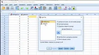 V6.1 &mdash; Описательная статистика по группам в SPSS