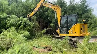 CLEARING LAND WITH THE CAT 309!! 200 ACRE  PROPERTY UPDATE!
