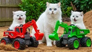 Mama Cat Rescue Baby Lion 🦁 from Flood 🌊 Cook Together and Drive Excavator ❤️ Heartwarming Story