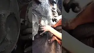 Casting of Brass || Indian Factory Gate