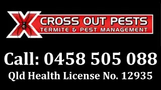 Pest Control Services - Gold Coast & Brisbane  - 0458 505 088
