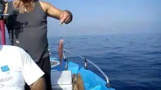 ψαρεμα Τσαουσια.MP4