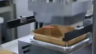 Take Away Food Paper Container Making Machine#machine #factory #packaging #box #food #business