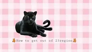 🌹✨How to get out of 23reg✨🌹|Wild Animals Online🌻