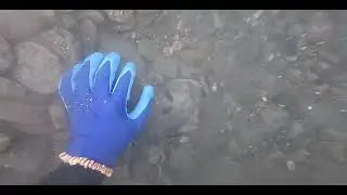 Не минуты покоя 😁