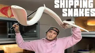Shipping Venomous Snakes!