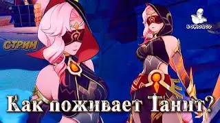 Genshin Impact - Пустыня Сумеру. Загадка шахматных фигур. Продолжаем помогать племени Танит.