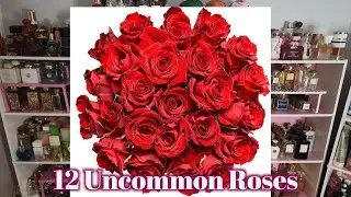 Discover 12 of The Most Unique Spring Rose Scents Of 2024