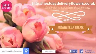 next day flower delivery uk Primrose Hill greater london