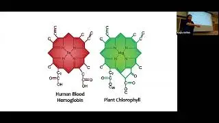 Basic Soil Fertility Part 1