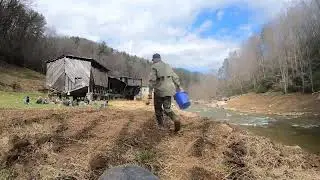 Ward Dam Removal Project- Livestaking