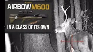Benjamin airbow  M600 Deer hunt