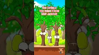 Как срубленное дерево помогло вырастить гигантский джекфрут! #джекфрут #анимация