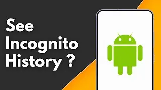 Can we See Incognito History on Android ?