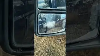 POV: You Buy A 6.4 #powerstroke #shorts #youtubeshorts #fordtruck