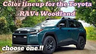 Toyota RAV4 Woodland Gallery : Discover the color palette of the 2026  Woodland.