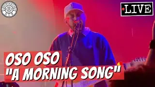 oso oso 
