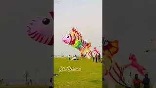 Kite Festival Qatar #amazing #travel #doha #2025 #kite #kiteflying#trending #trend #musicgenre#qatar
