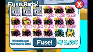 What if you fuse 3 Huge Cats Pet Simulator X