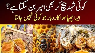Beekeeping Business in Pakistan | Honey Farming | Hidden Business in Pakistan 🇵🇰