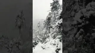 Myanmar Putao snow mountain