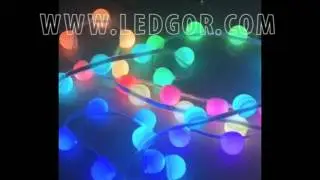 12V Programmable pixel led globe strip with neon bulb | Ledgor