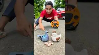 Egg Wala Chicken And Remote Control Birds ki Unboxing🔥