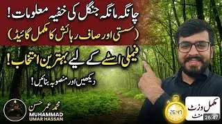 Changa Manga Forest Tour | Best Cheap & Clean Family Stay | Complete Visit Guide