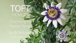 How to Crochet the Passion Flower