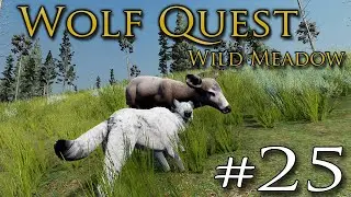 Hunting PROSPECTS Amid the Peaks!! 🐺 WOLF QUEST: WILD MEADOW • #25