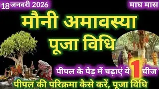 Mauni Amavasya 2026 | Mauni Amavasya puja vidhi | Mauni Amavasya kab hai | मौनी अमावस्या पूजाविधि