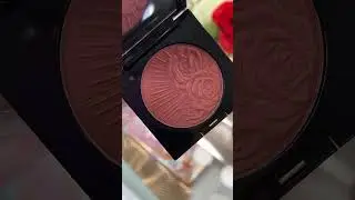 This color😍🤩 #blushblush #makeupblush #blush #makeup #newmakeup #swatches #makeuplover #patmcgrath
