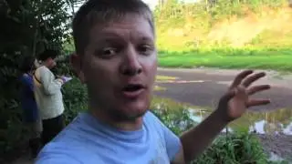 tambopata macaw clay lick 4 days