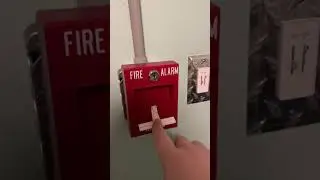 This Fire Alarm Test Was Impressive! 🚨🔊